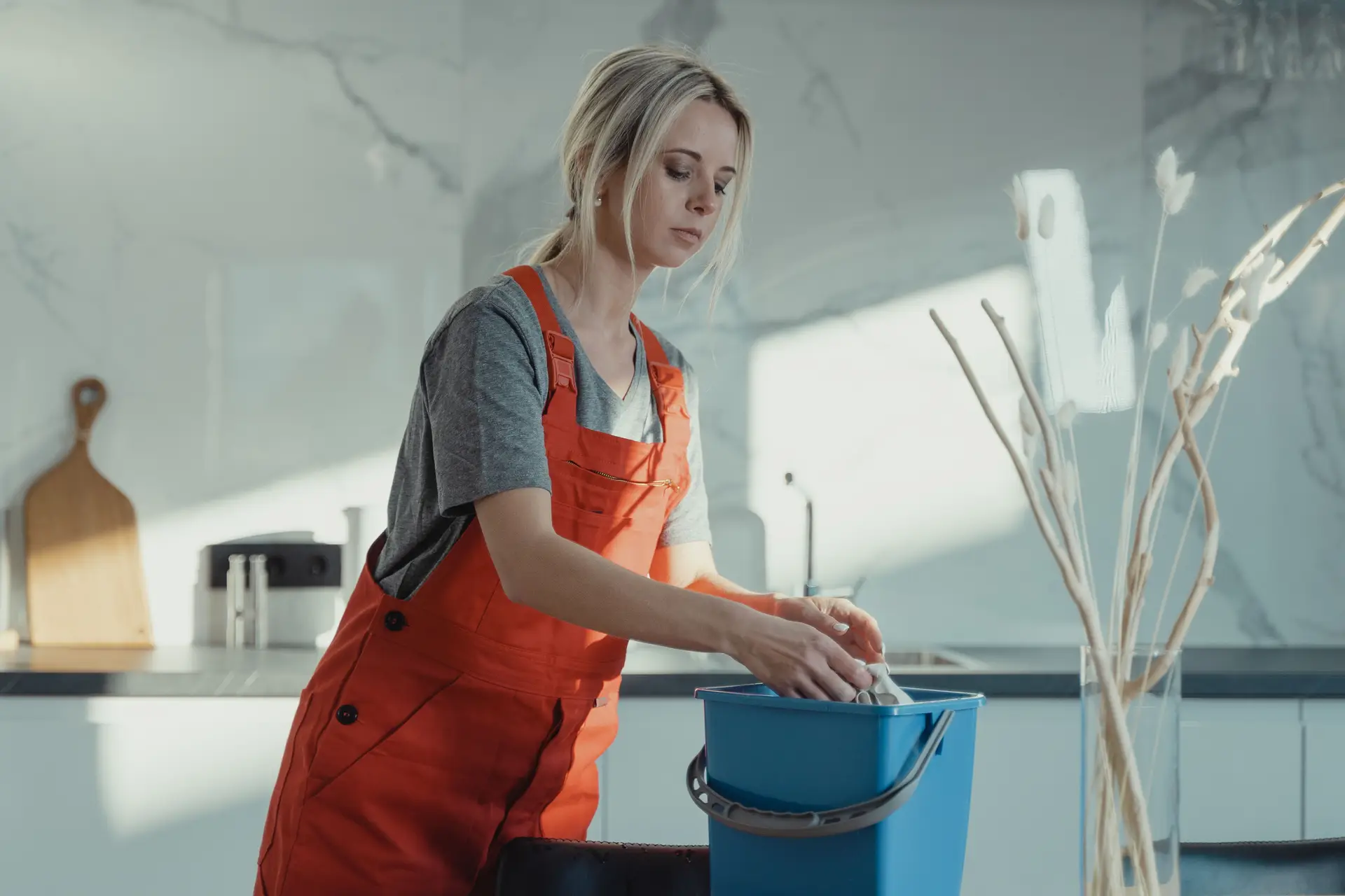 Domestic cleaning service